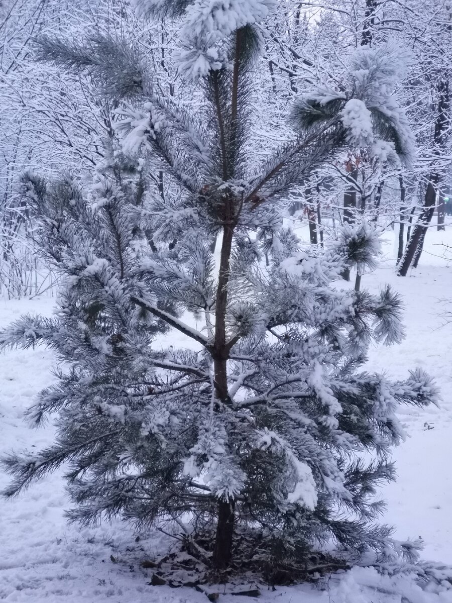 Фото из архива, но передаёт настроение. 