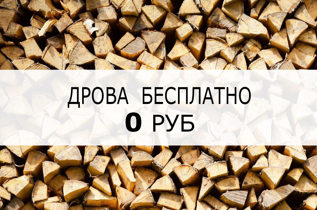Три способа получения березовых дров бесплатно.