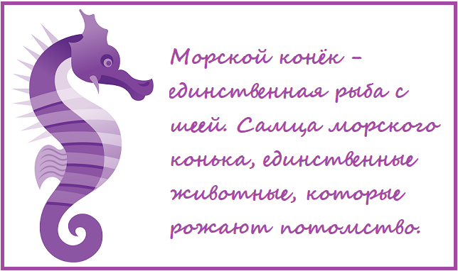 Морской конек рожает потомство. Источник картинки, сайт: https://clck.ru/SRY2w