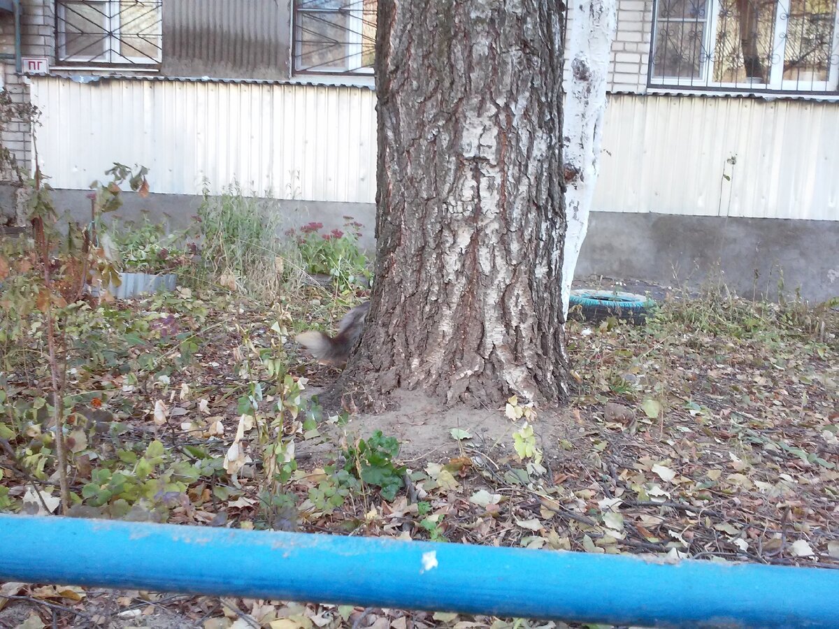 Первое фото нашего квеста - как и положено, очень легкое!