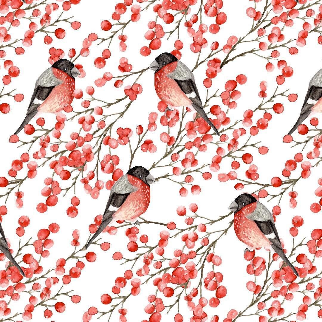 Яндекс.картинки