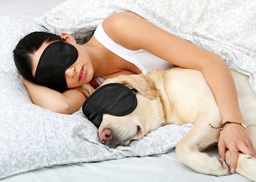 источник: sochistream.ru