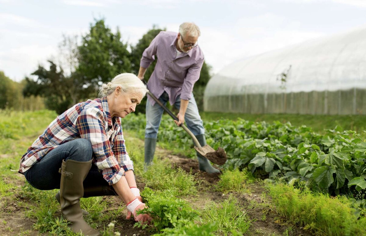 Фото из свободного доступа сети интернет