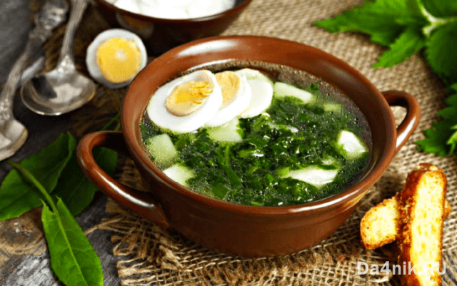 Рецепт вкусного супа из щавеля с мясом и яйцом | Найти рецепт
