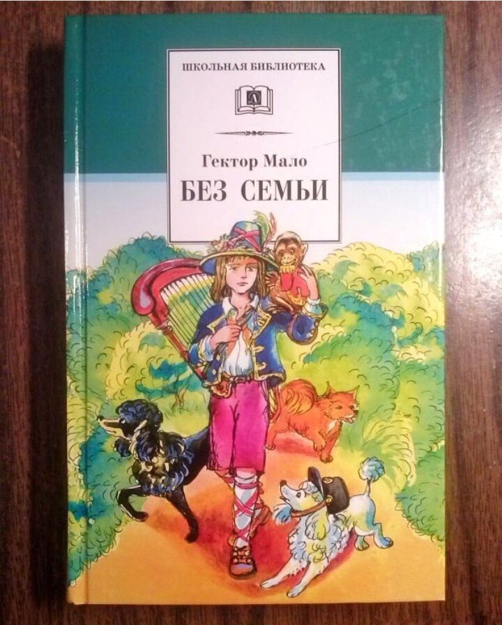 "Без семьи" Мало́ Гектор Анри.
⠀
Казалось бы ничего не предвещало беды... Жил мальчик в доме со своей матерью пока не вернулся отец...
⠀
Вот тут в жизни мальчика начались сплошные трудности и несчастья..
⠀
Сначала он узнает, что родители ему не родные и его нашли на улице несколько лет назад, потом приемный отец продал его уличному артисту и ему пришлось зарабатывать на пропитание и ночевать на улице.
⠀
После смерти хозяина его забрали в семью, но и тут он прожил не долго, и жизнь снова приготовила ему испытания.
⠀
Он вынужден был вернуться к жизни уличного бродяги и зарабатывать себе на кусок хлеба...
⠀
Не смотря на все жизненные тяготы, боль, предательство, голод и разочарования Реми остаётся добрым мальчиком, с чутким сердцем.
⠀
В конце повести Реми находит свою настоящую семью из которой его похитили много лет назад. А так же рядом с ним все те, кто так или иначе помогал ему на жизненном пути, и кого он так горячо любил.

#Софи_и_книги