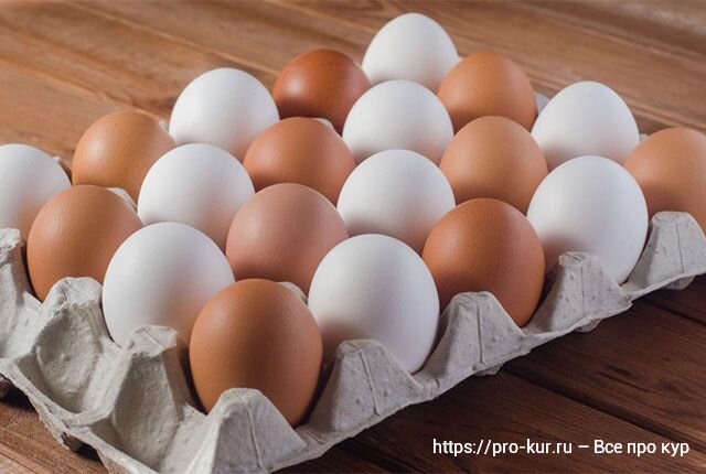 Добрый день, опытные и начинающие птицеводы! Коричневые и белые яйца у кур отличаются по вкусу, одно питательнее другого? В чем разница между белыми и коричневыми яйцами?