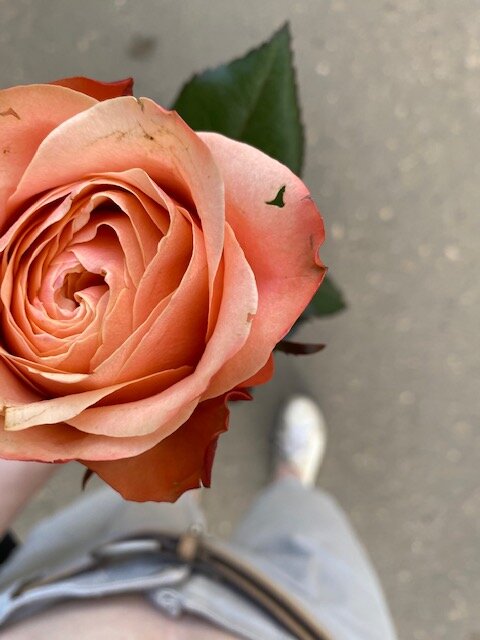 Поставьте 👍 публикации и подписывайтесь