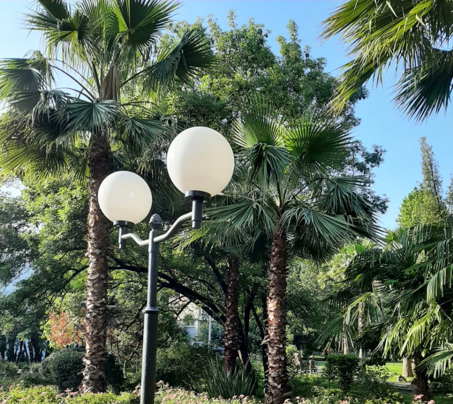 Собственное фото.