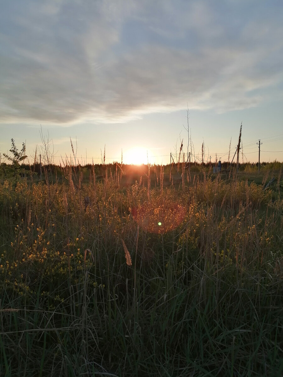 Такая красота у нас там. 