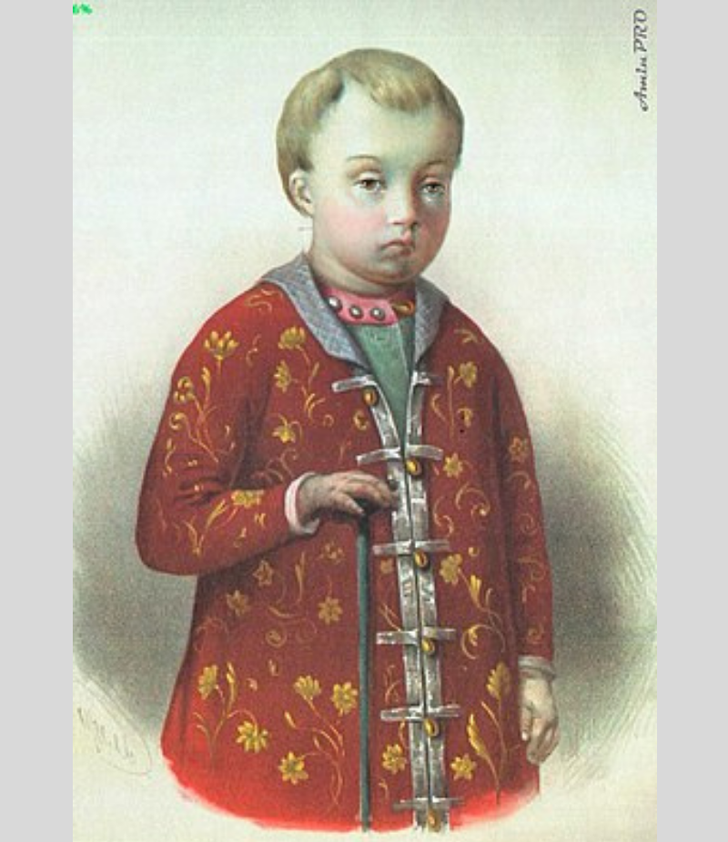 Царевич Дмитрий Алексеевич не прожил и года.