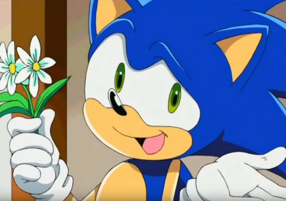 Sonic X (Sonic X Sonic X, англ. Sonic X) - анимационный сериал, созданный TMS Entertainment на основе видеоигры Sonic the Hedgehog японской компании Sega.