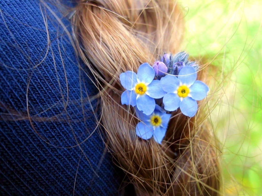 Фото - иллюстрация из интернета 