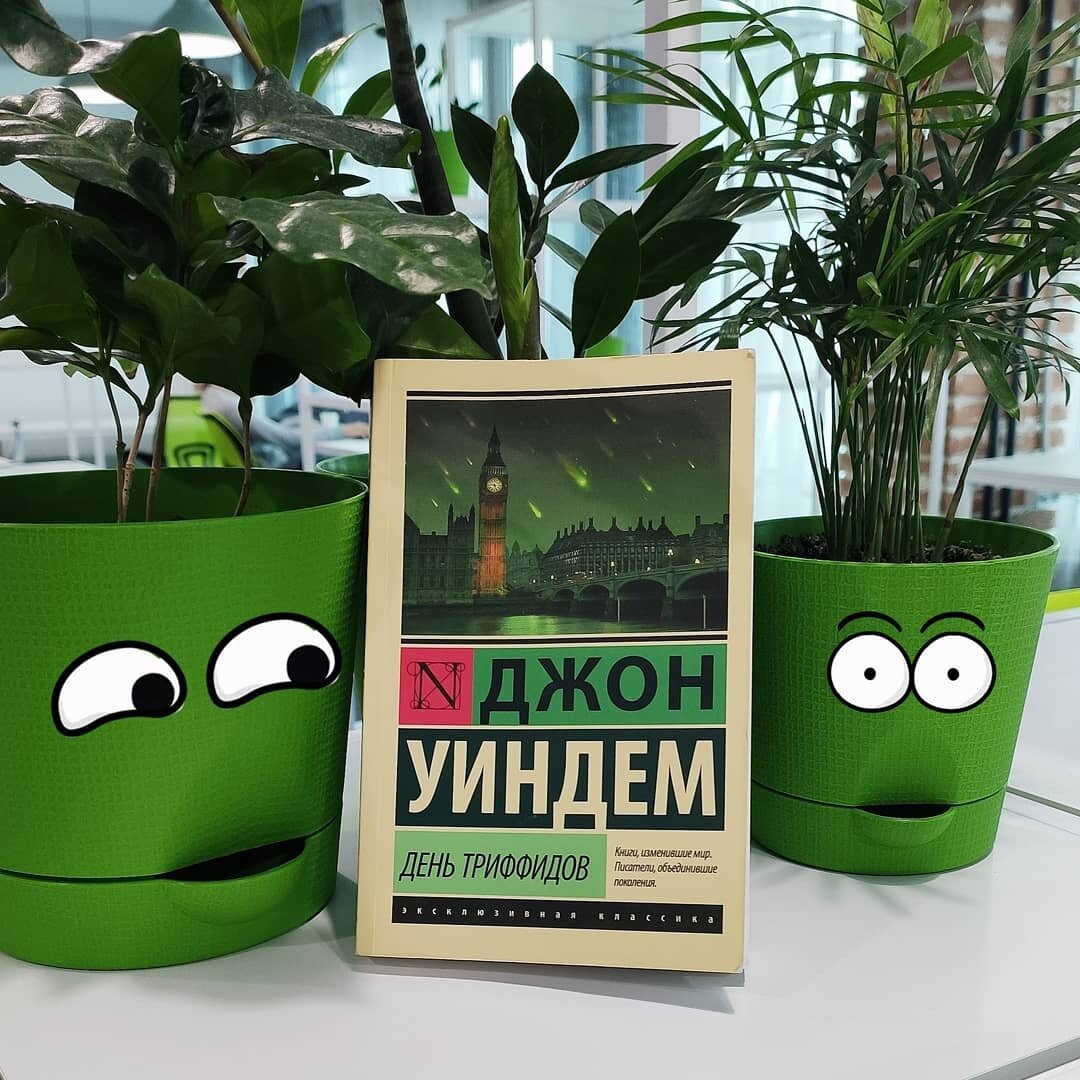 Мягкая обложка. Стандартное для этого издания качество печати