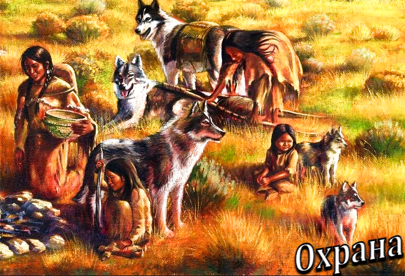 Когда ищите того, кто съел все запасы: