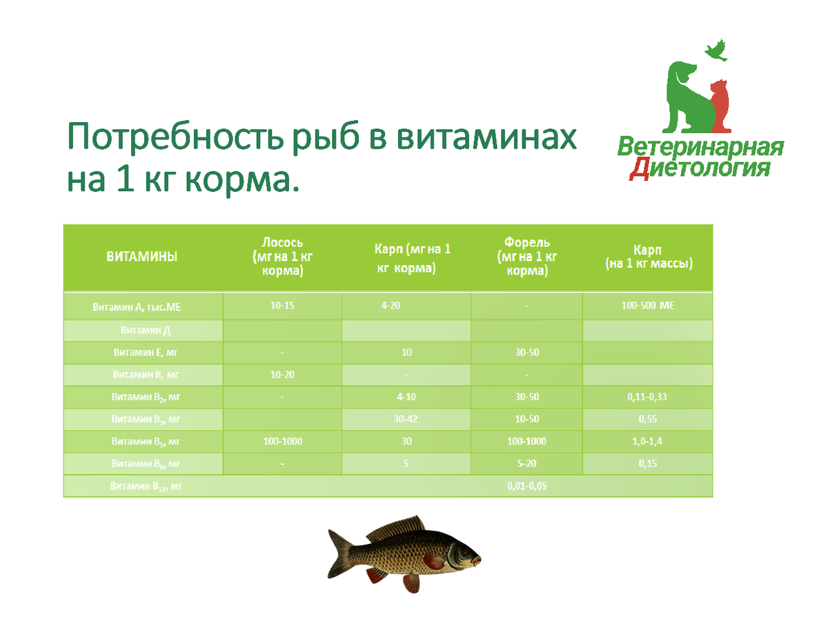 Кормление промышленной рыбы | ВЕТЕРИНАРНАЯ ДИЕТОЛОГИЯ | Дзен