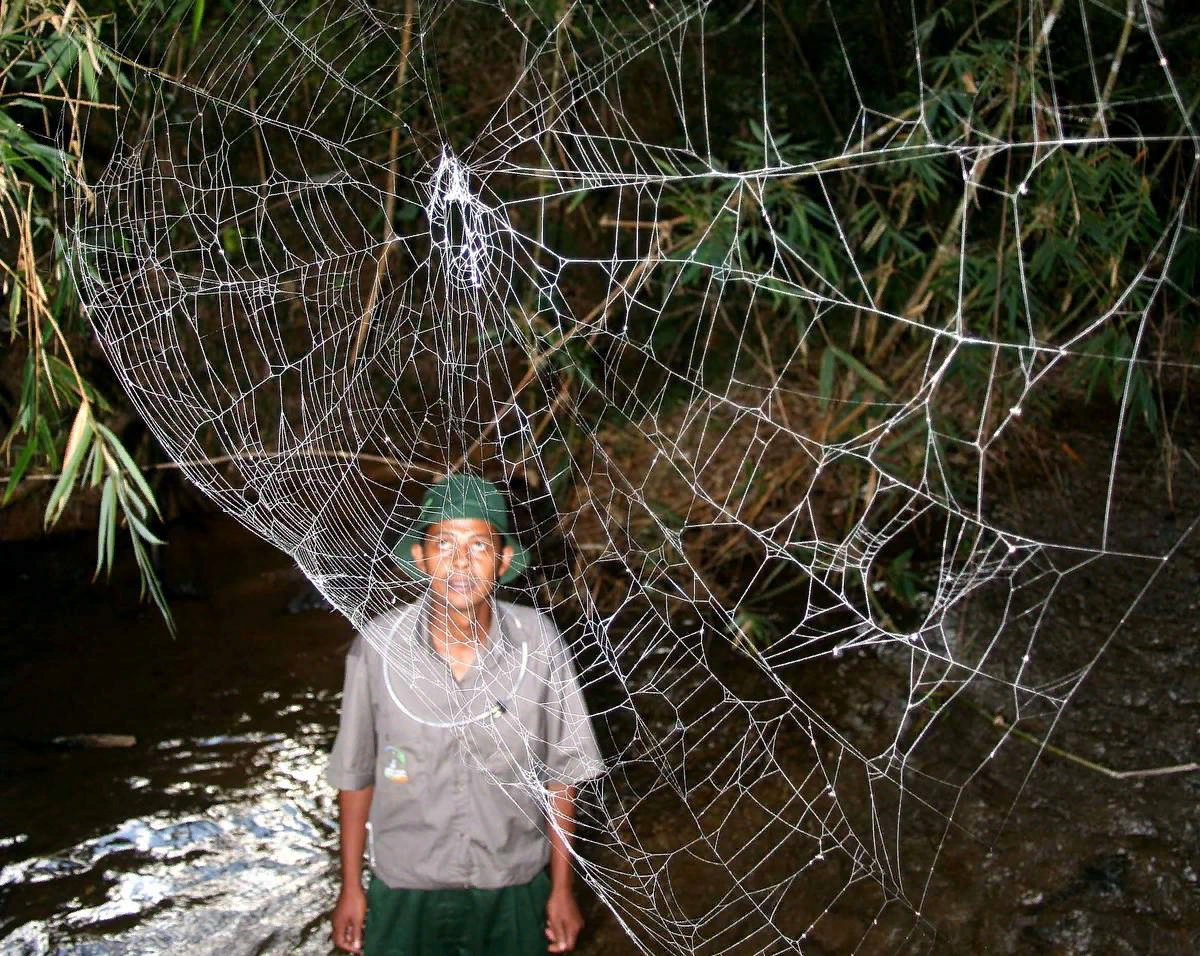Мда, давненько я пыль не протирал. 