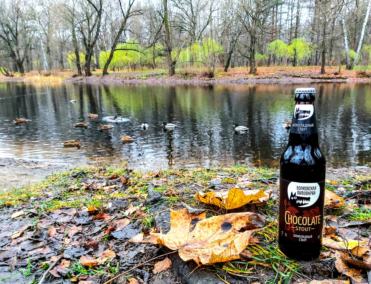 Волковская шоколадный стаут, фото автора