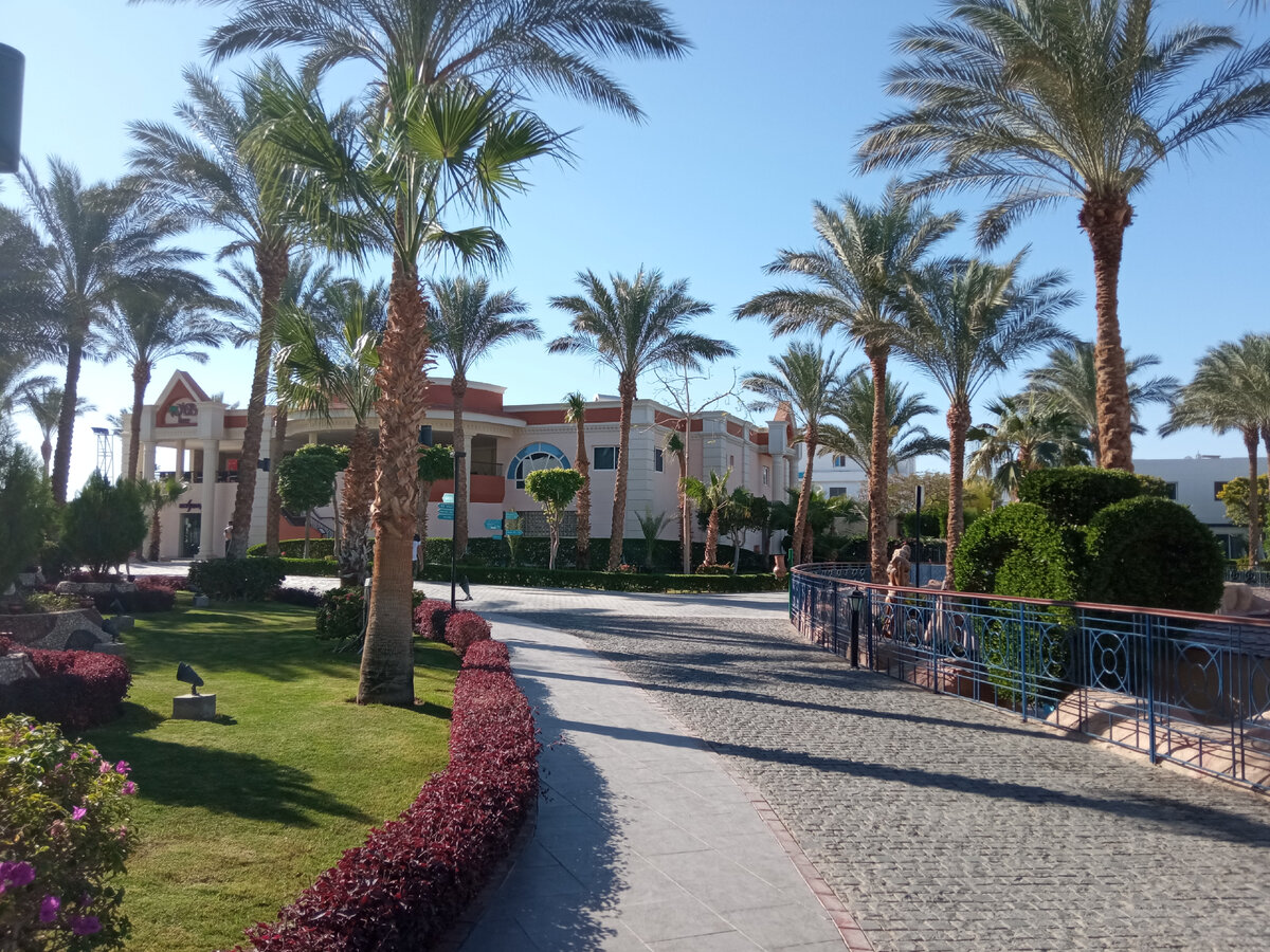 Фото из отеля Sultan Gardens, из личного архива