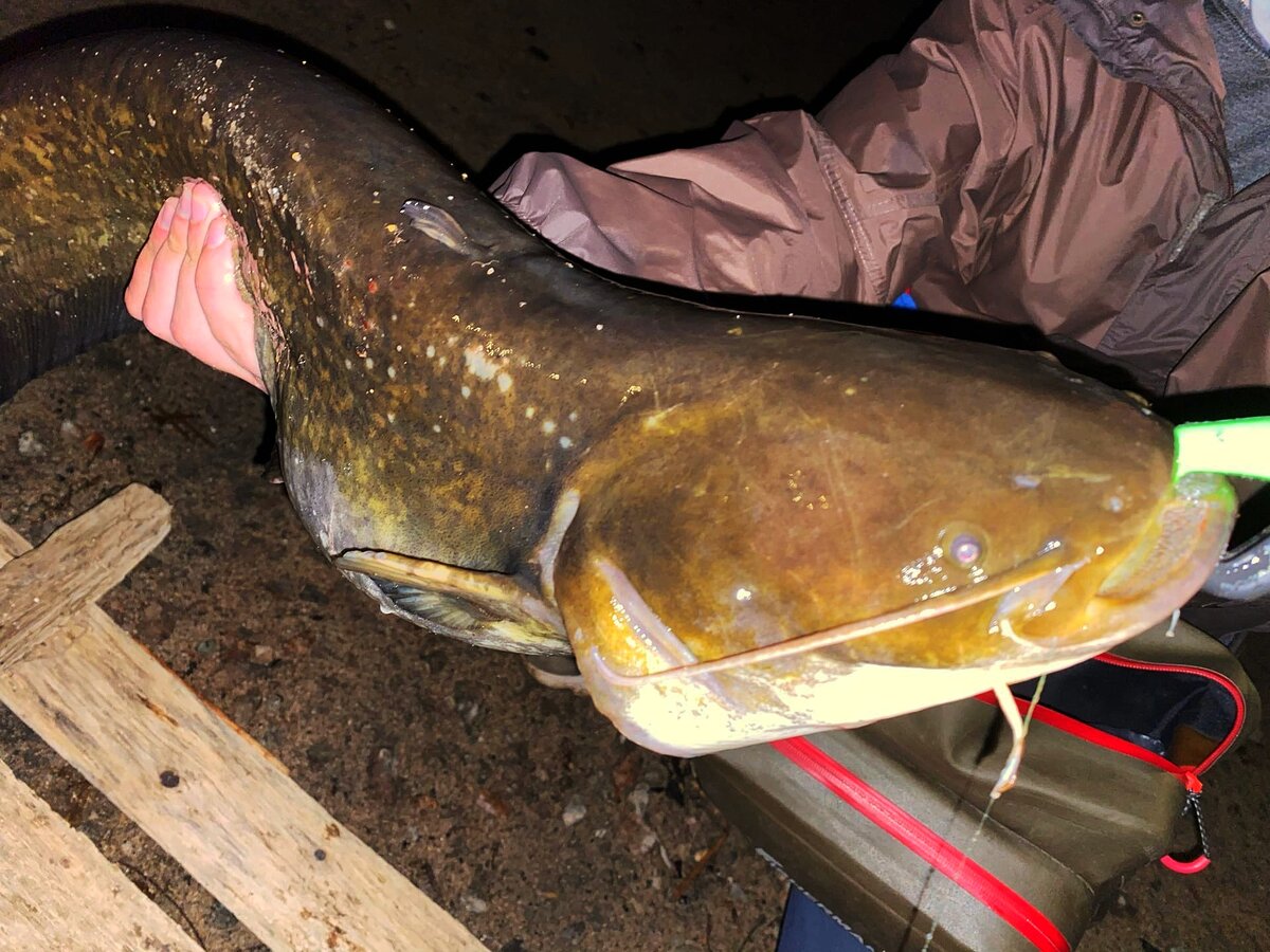 Ловить с берега - интересно!