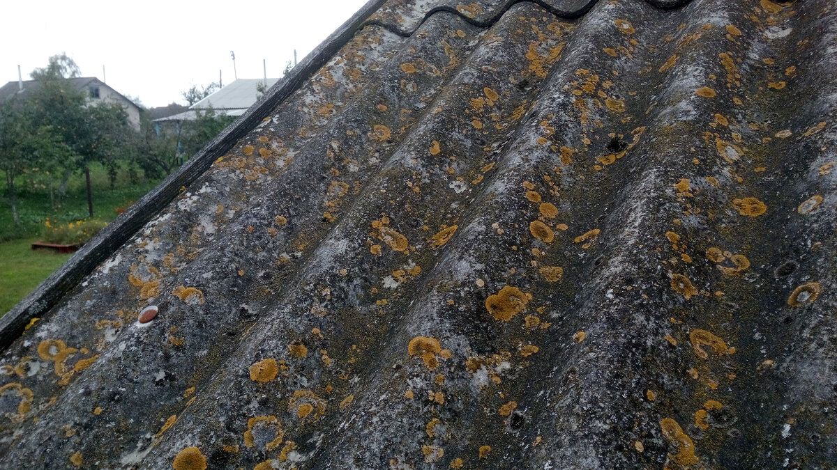 Грязный шифер... Фу!