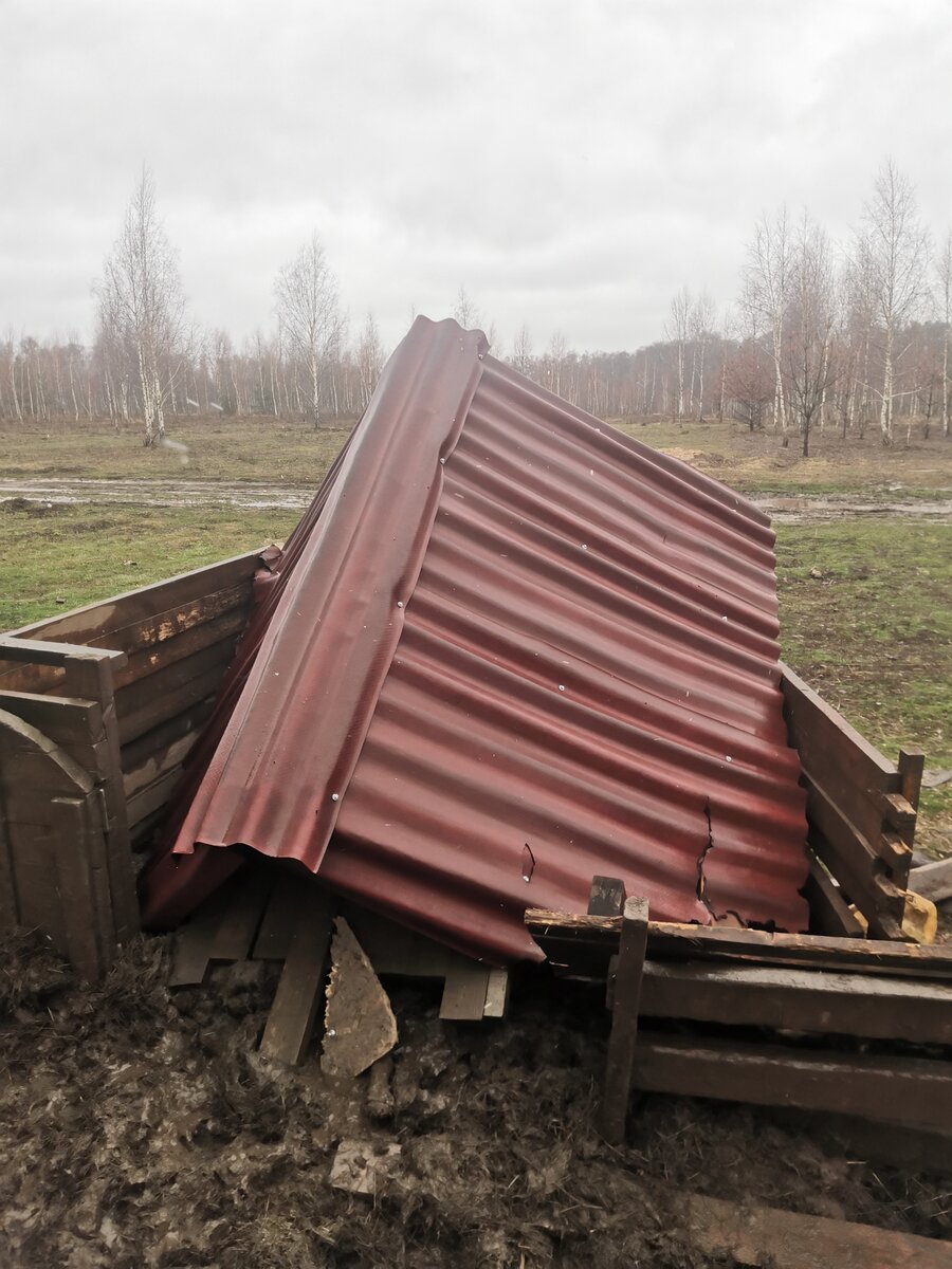 Дизайн дома по-бэконовски. Вид сзади
