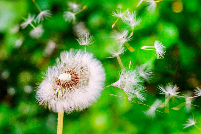 Наступает эпоха перемен (фото из открытых источников)