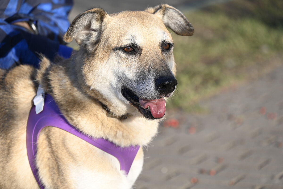 Монти 2021 года!