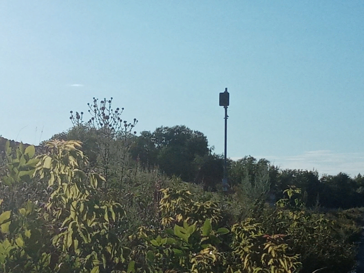 Когда мы проходили мимо, на светофоре горел зеленый сигнал. Из-за яркого Солнца на фото не видно огня.