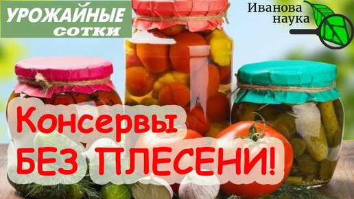 Сделайте ТАК и ничего не заплесневеет и не взорвется! Консервы без плесени и вздутия!