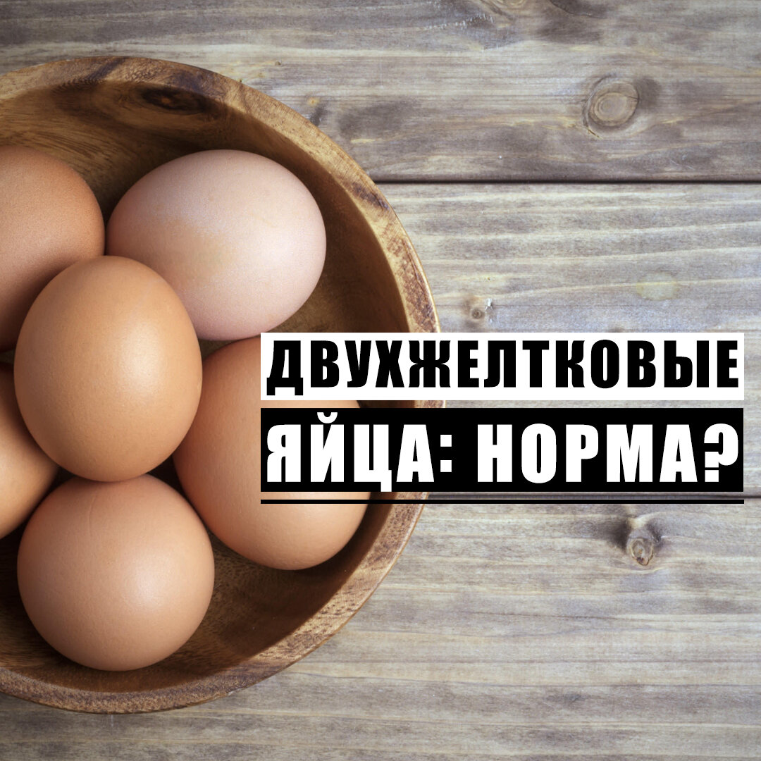 Почему в куриных яйцах два желтка? Даю детальный ответ | Интересно знать |  Дзен