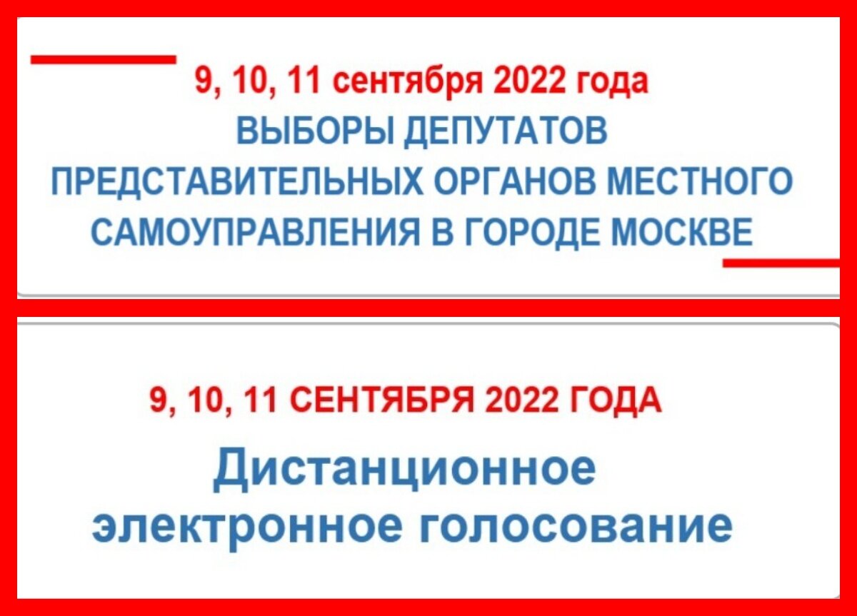 Результаты муниципальных выборов спб