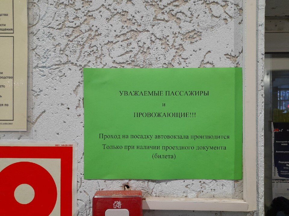   Алёна ГОЛЕВА