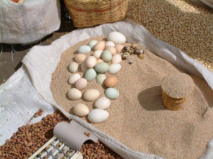 А вот раньше, когда не было холодильника, хранили яйца в песке или золе. 
