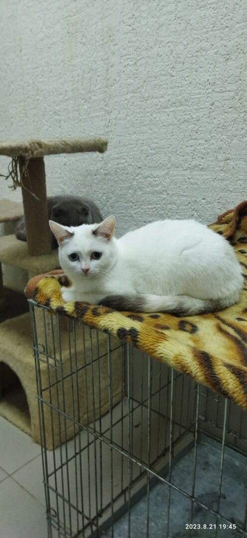 Радмила сейчас