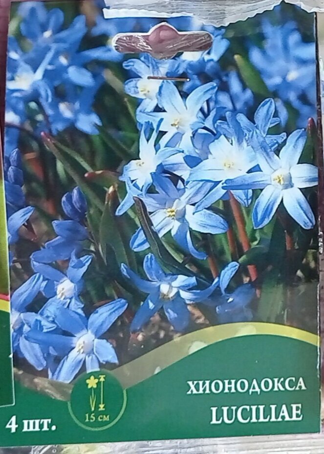 Продажа в Фикспрайс