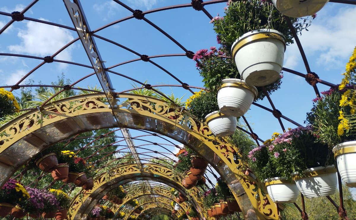 А какое благоухание!