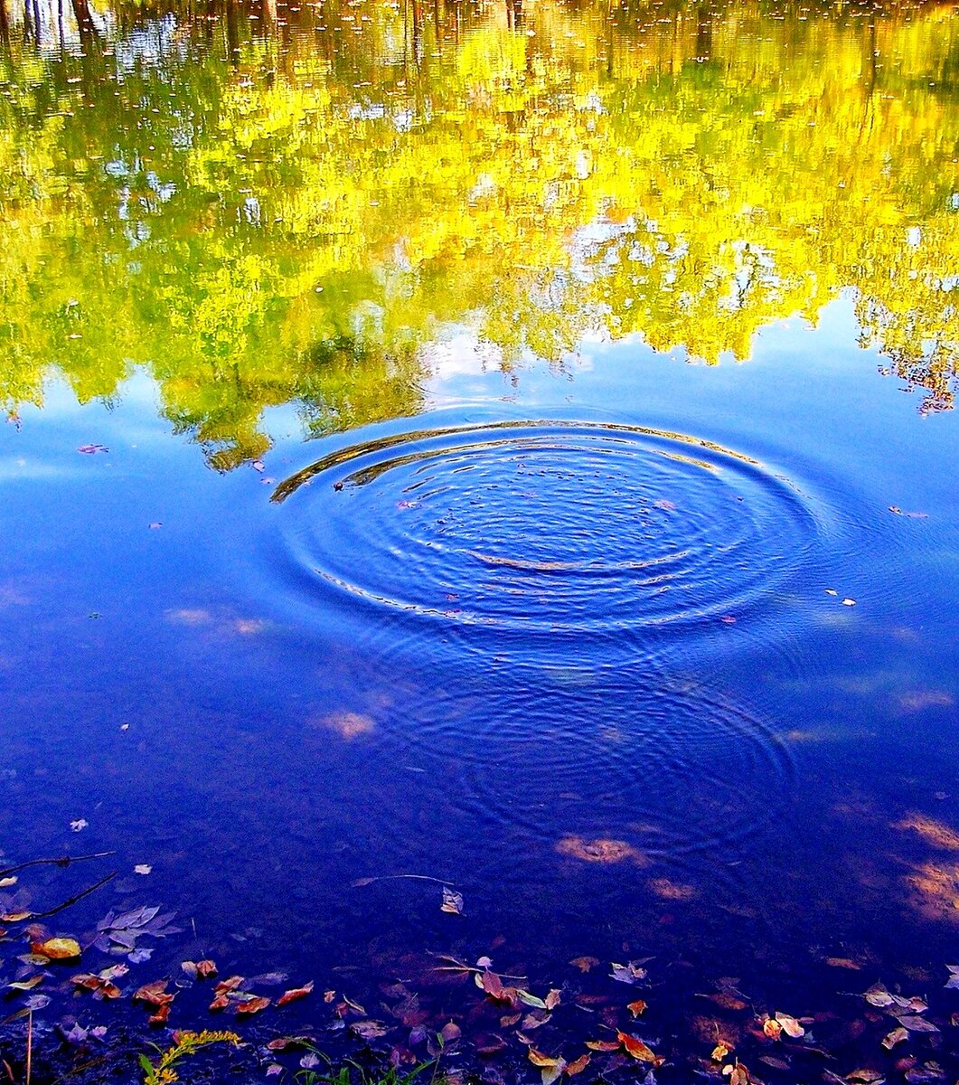 Круги н воде. Круги на воде. КГИ вода. Пейзаж с водой. Гладь воды.