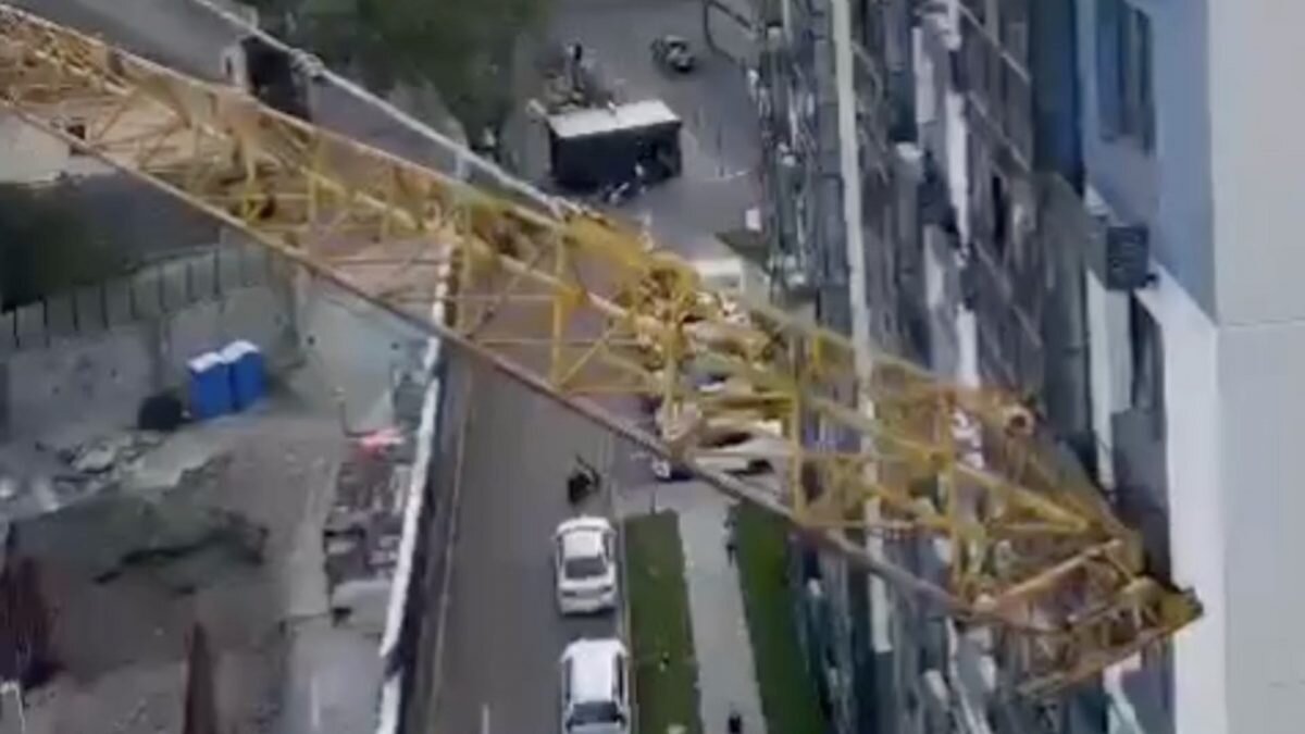    Фото: кадр из видео Август Макаров