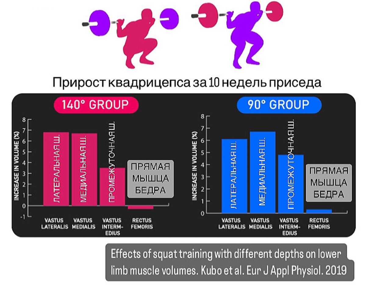 Прирост квадрицепса от 10 недель приседаний