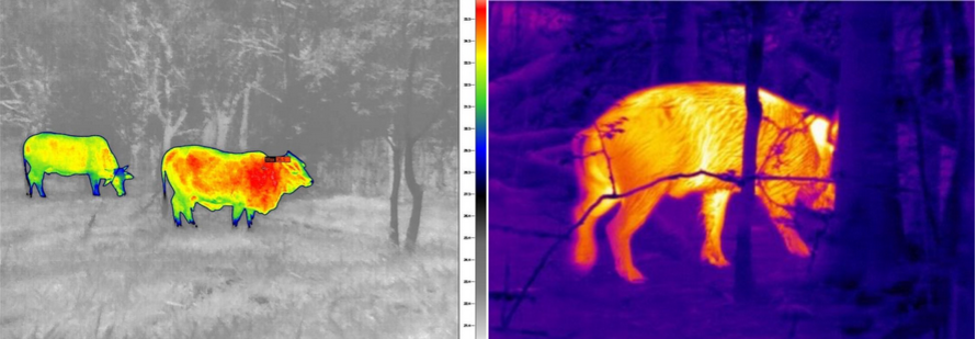 Камуфляж невидимый в пнв. Видео с тепловизора. W. Тепловизор сиик. Видео тепловизора ночью.