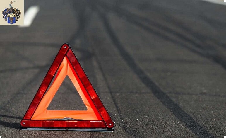 Источник: https://content.agronews.com/news_content/large/1572943732_17056132085dc137748a9013.21290713.jpg