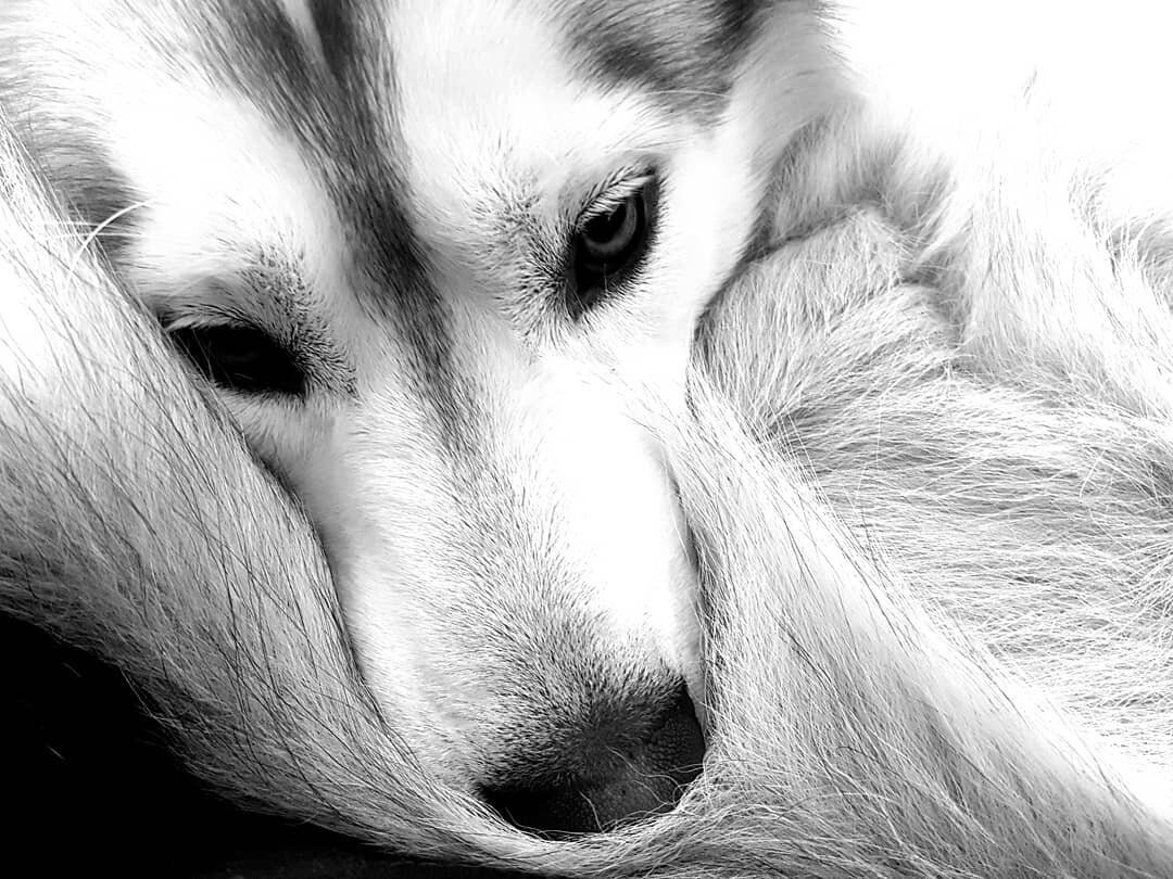 Фотография из Интернета.