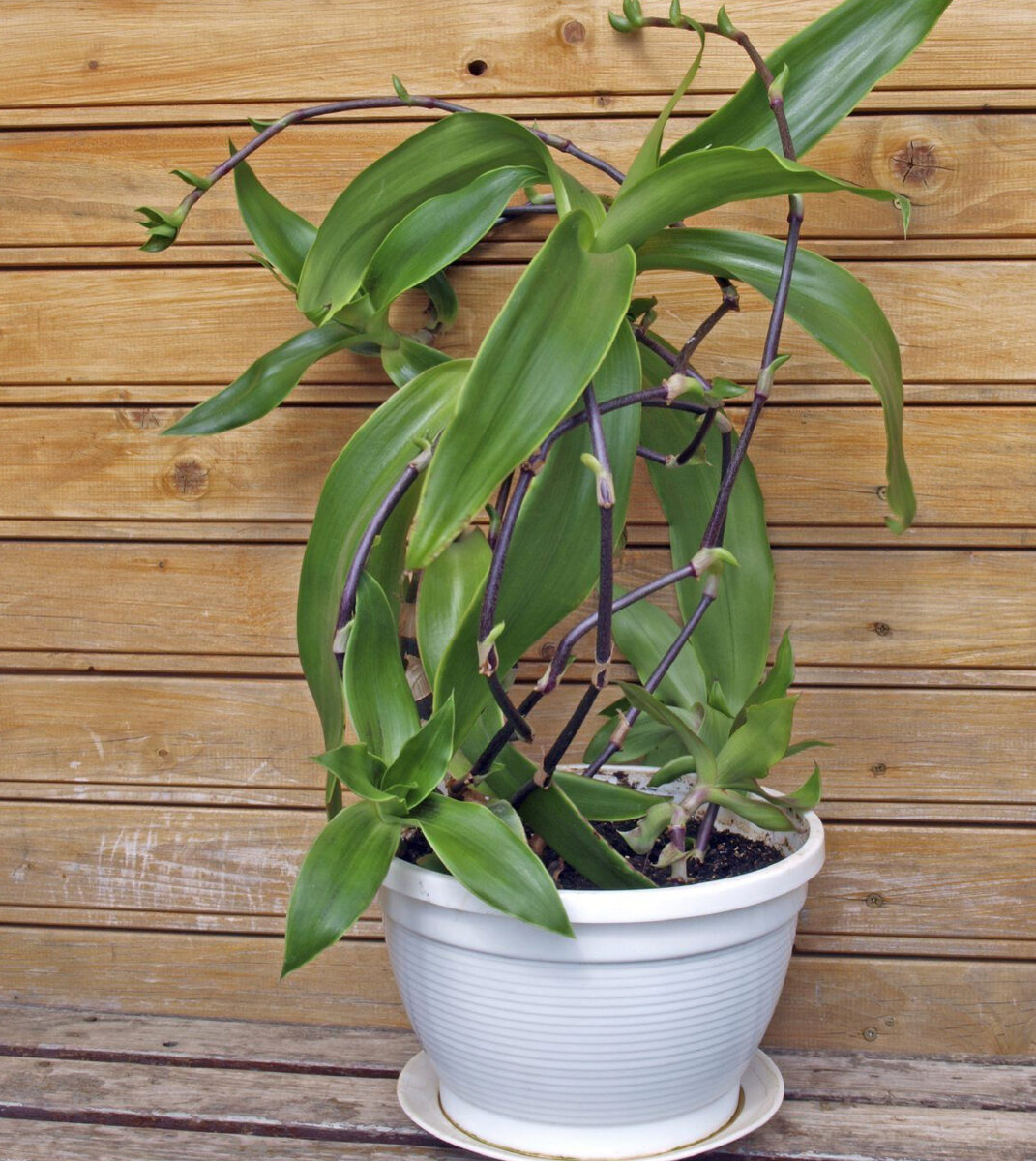 Фото яндекс картинки