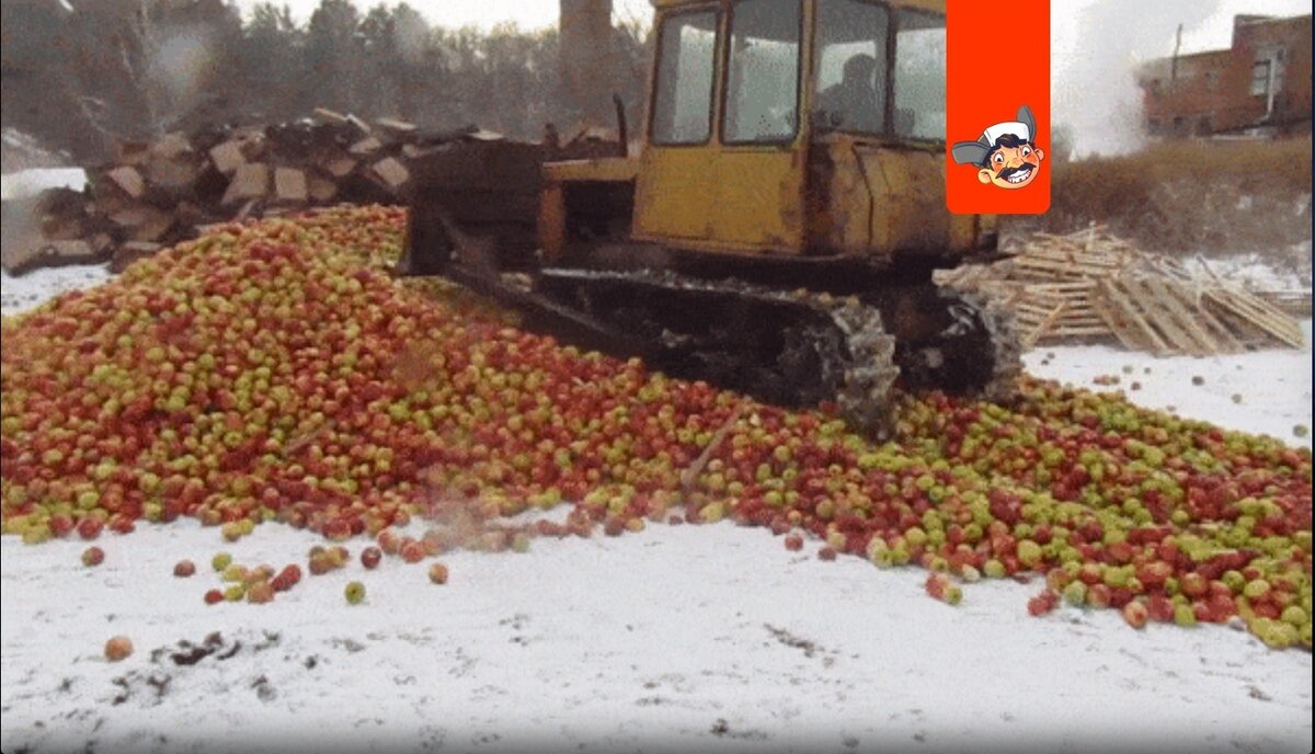 Почему санкционные продукты давят бульдозерами, а не отдают нуждающимся? |  ЗикЗак | Дзен