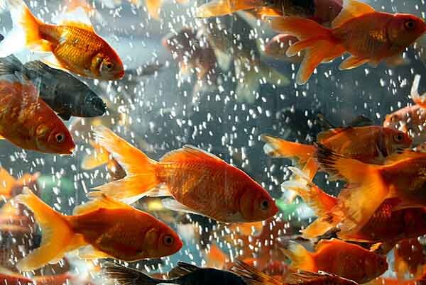 Источник фото: shutterstock.com