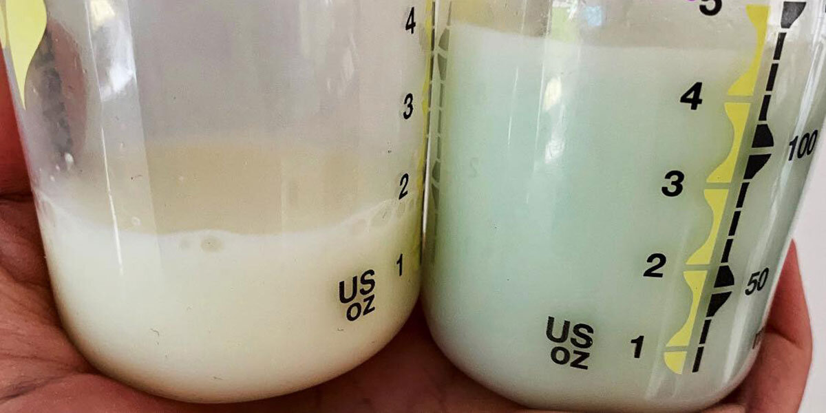 Как проверить жирность грудного молока в домашних условиях фото пошагово