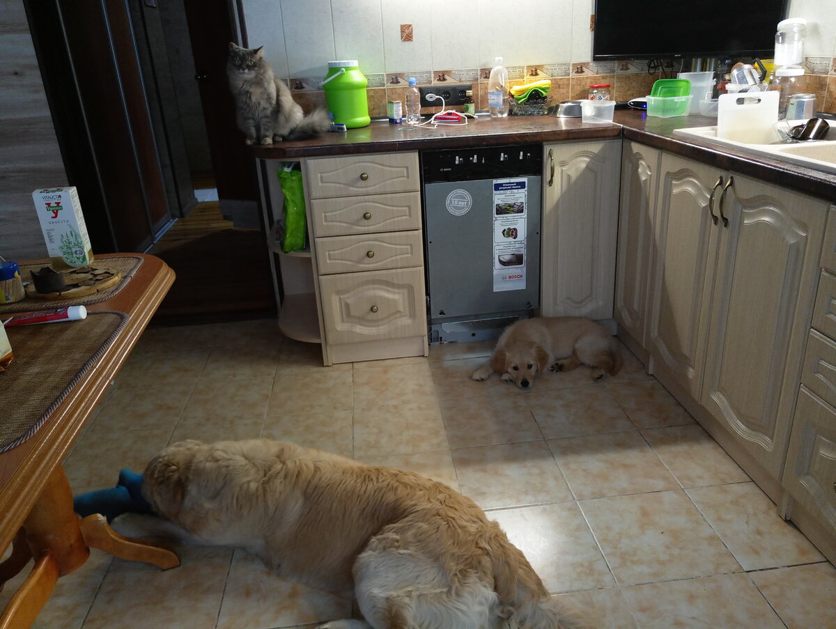 Все занимаются своими делами