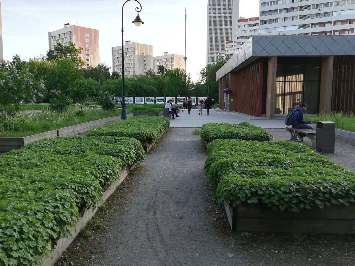 сиреневый бульвар в москве