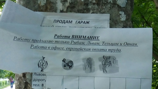 Фото из личного архива, сделано недавно в России в Московской области