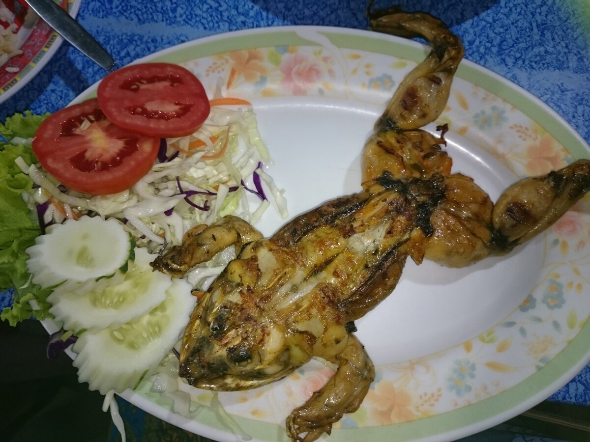 Лягушки в тайланде